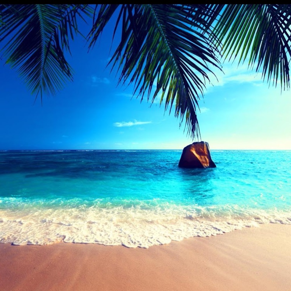 Tropical Beach Canvas Wall Art